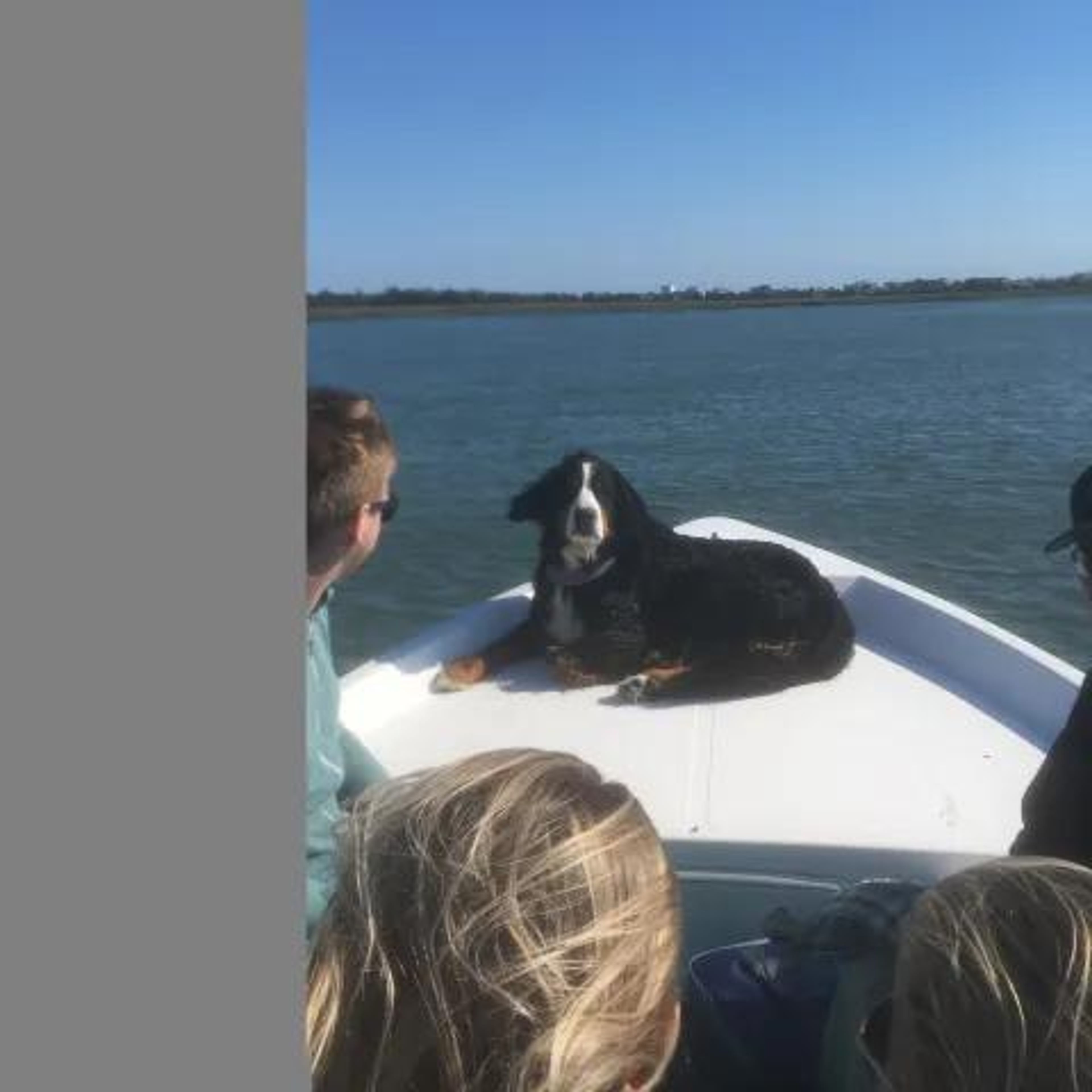 Private Eco & Dolphin Tour in Morris Island - Image 4