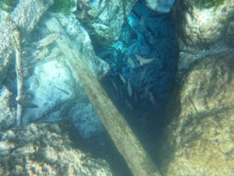 underwater view of a large rock