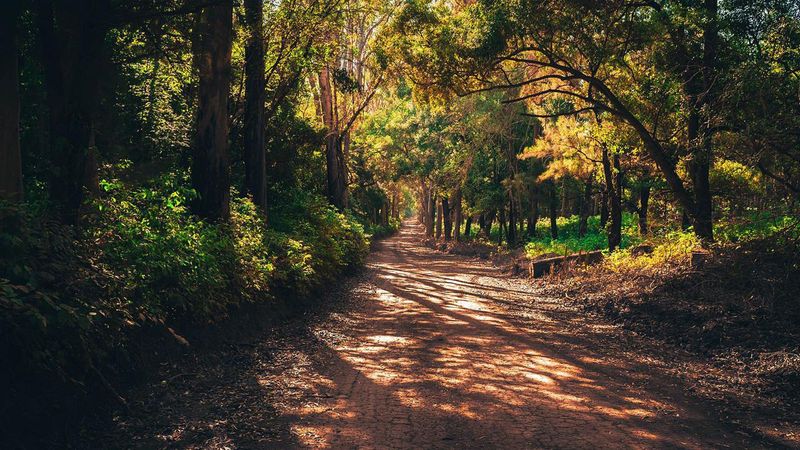 Forbidden Drive - Hidden Gems In Philadelphia