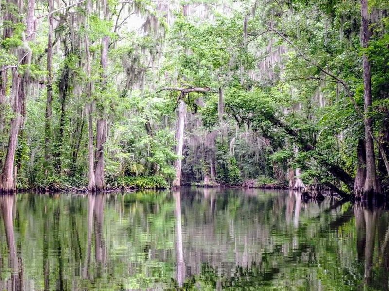 Dora Canal