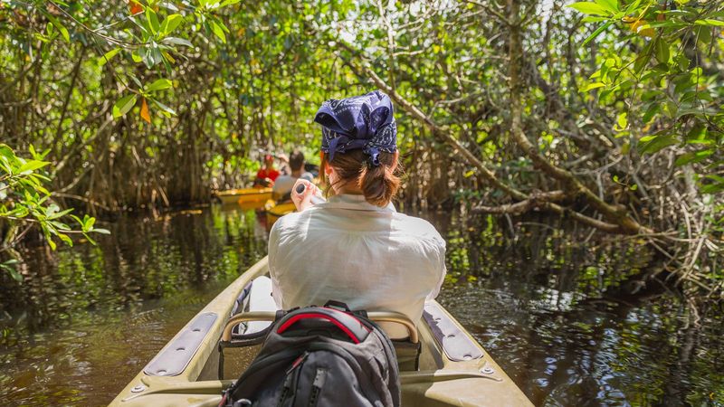 Kayaking In The Keys - John Pennekamp Coral Reef State Park