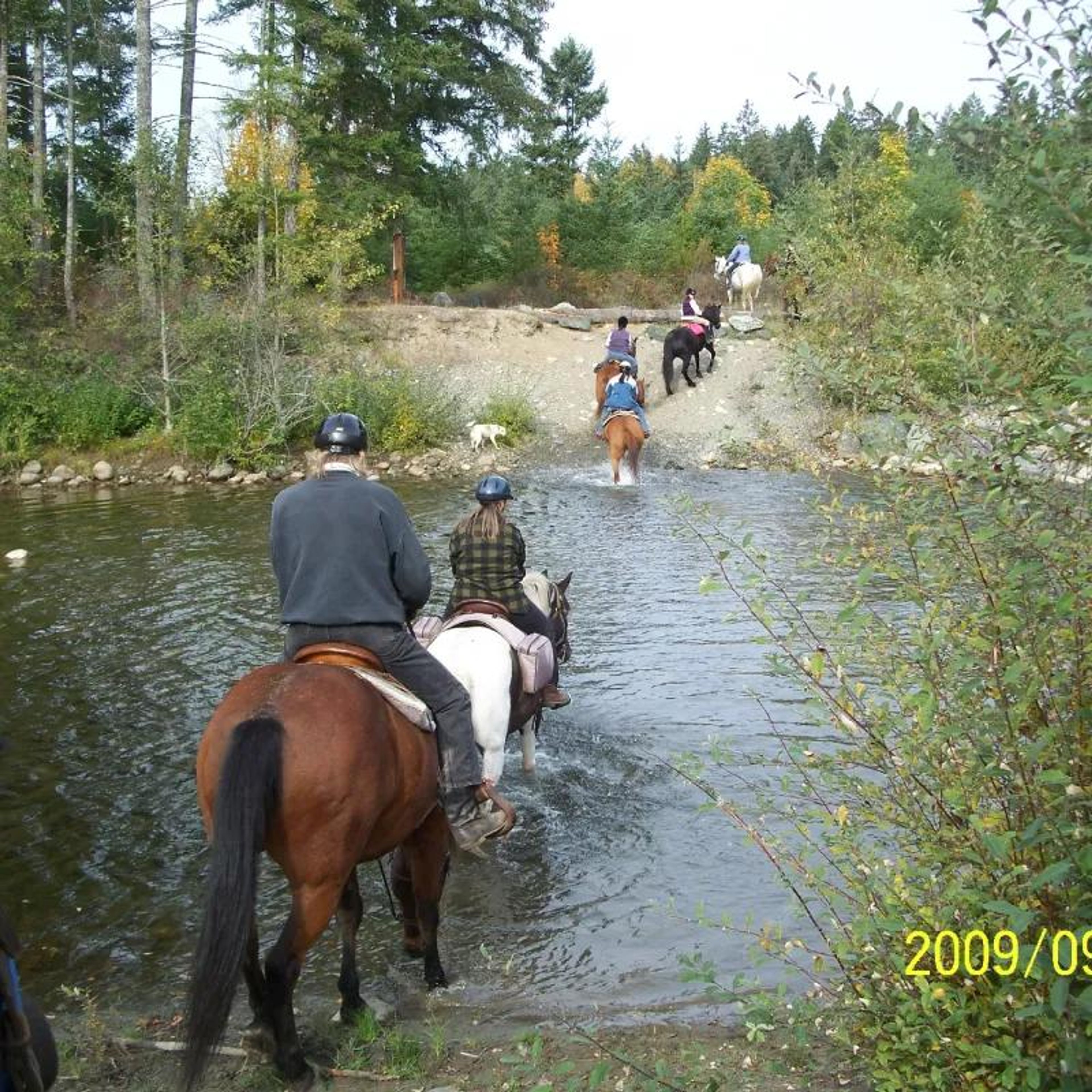 Serviced RV Site on Vancouver Island - Image 3