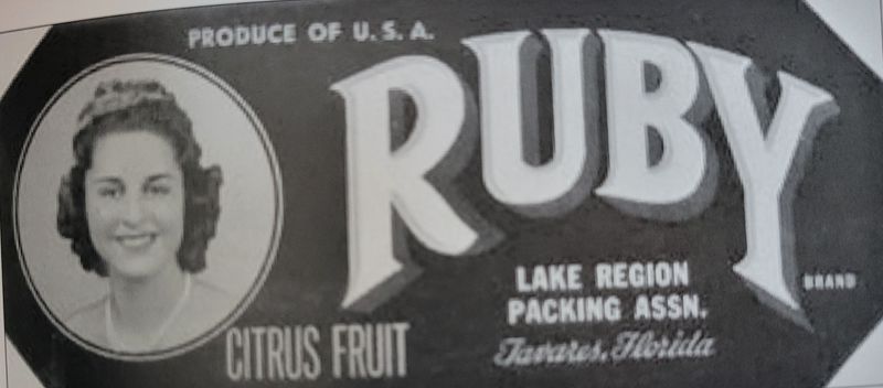 logo for the ruby red grapfruit brand of citrus