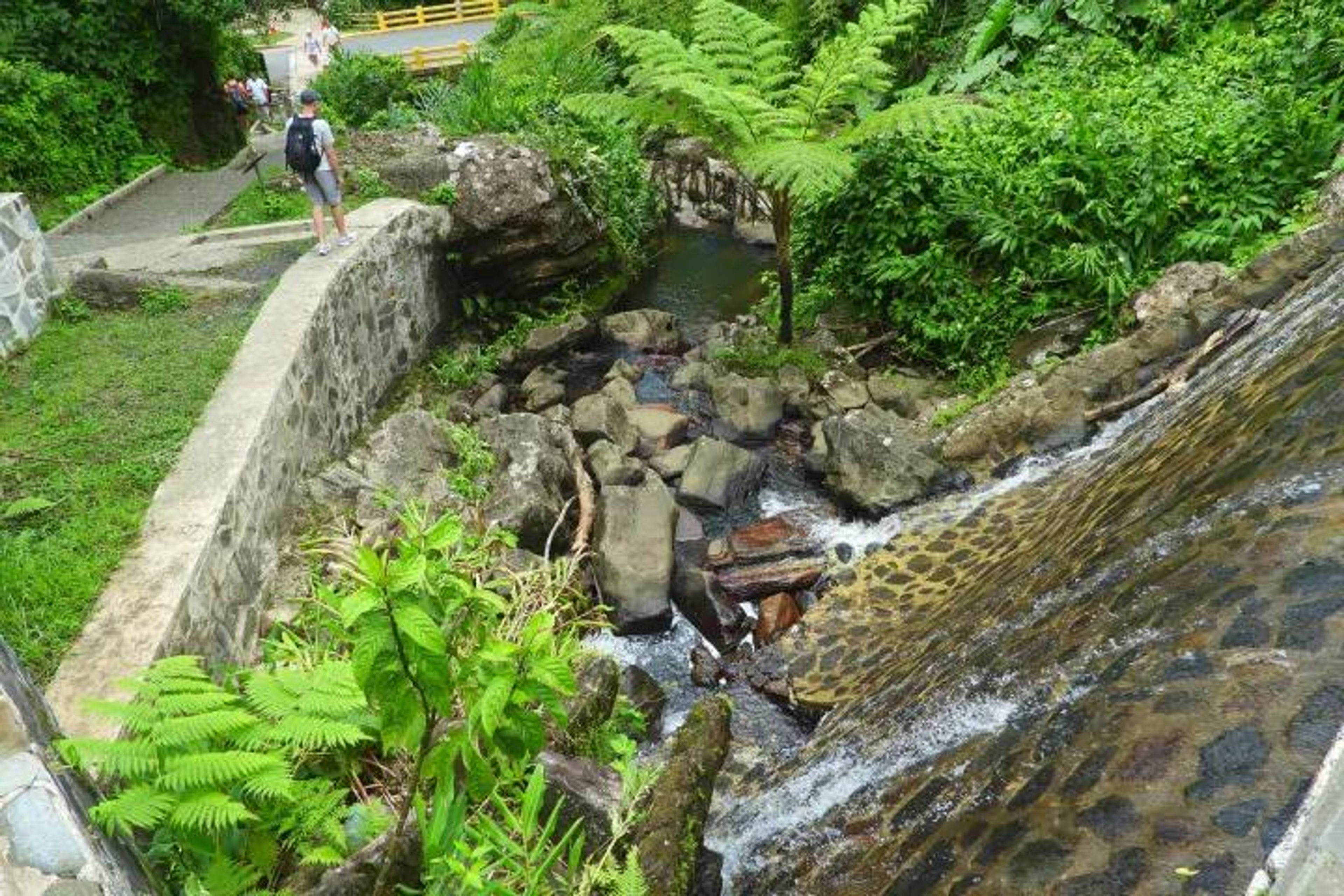 Rainforest River, Luquillo Beach Kiosk Area & Bioluminescent Bay Trio Tour – The Best of Puerto Rico in One Day - Image 4