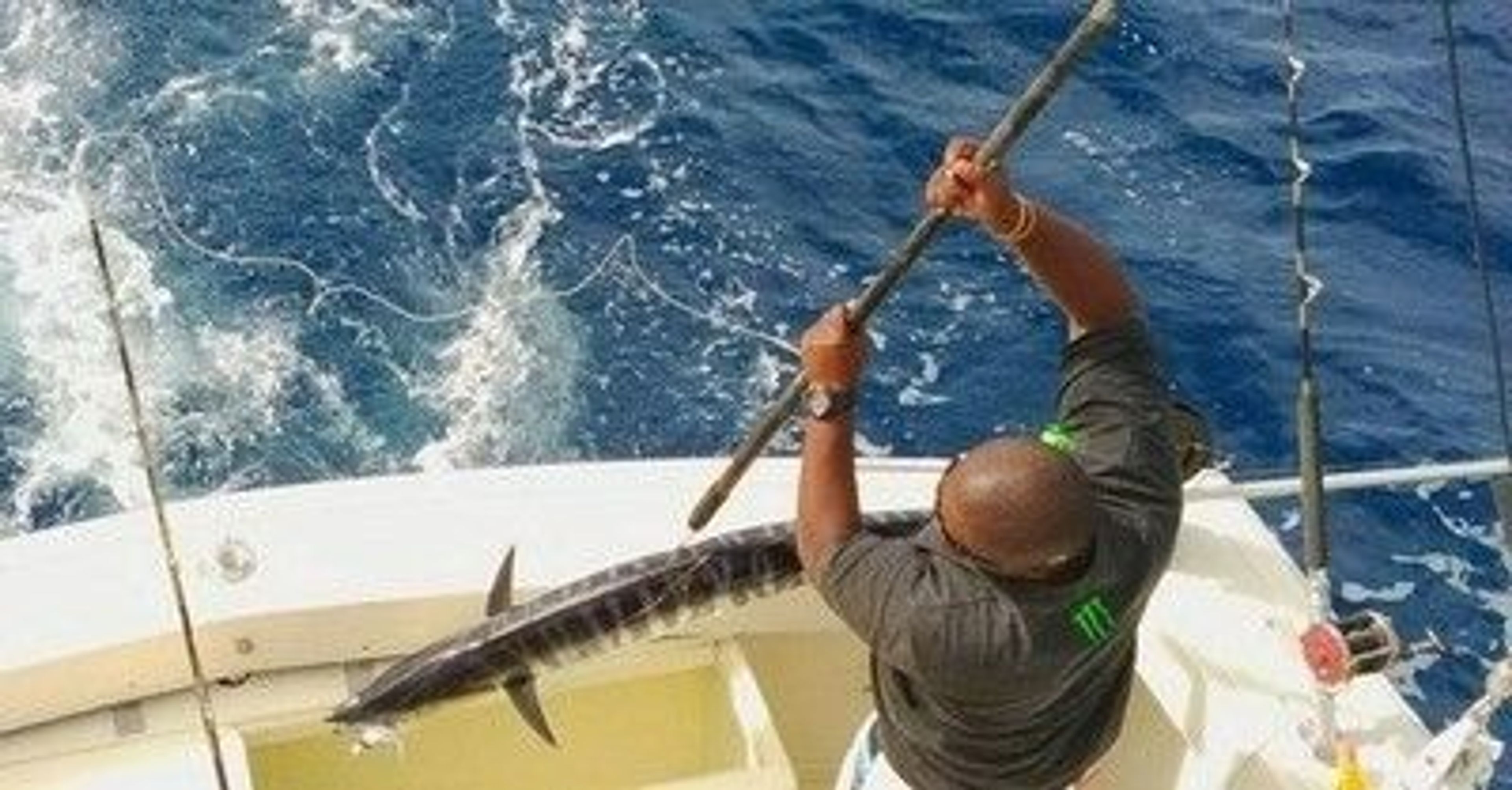 Deep Sea Fishing - Shared Charter - Image 1