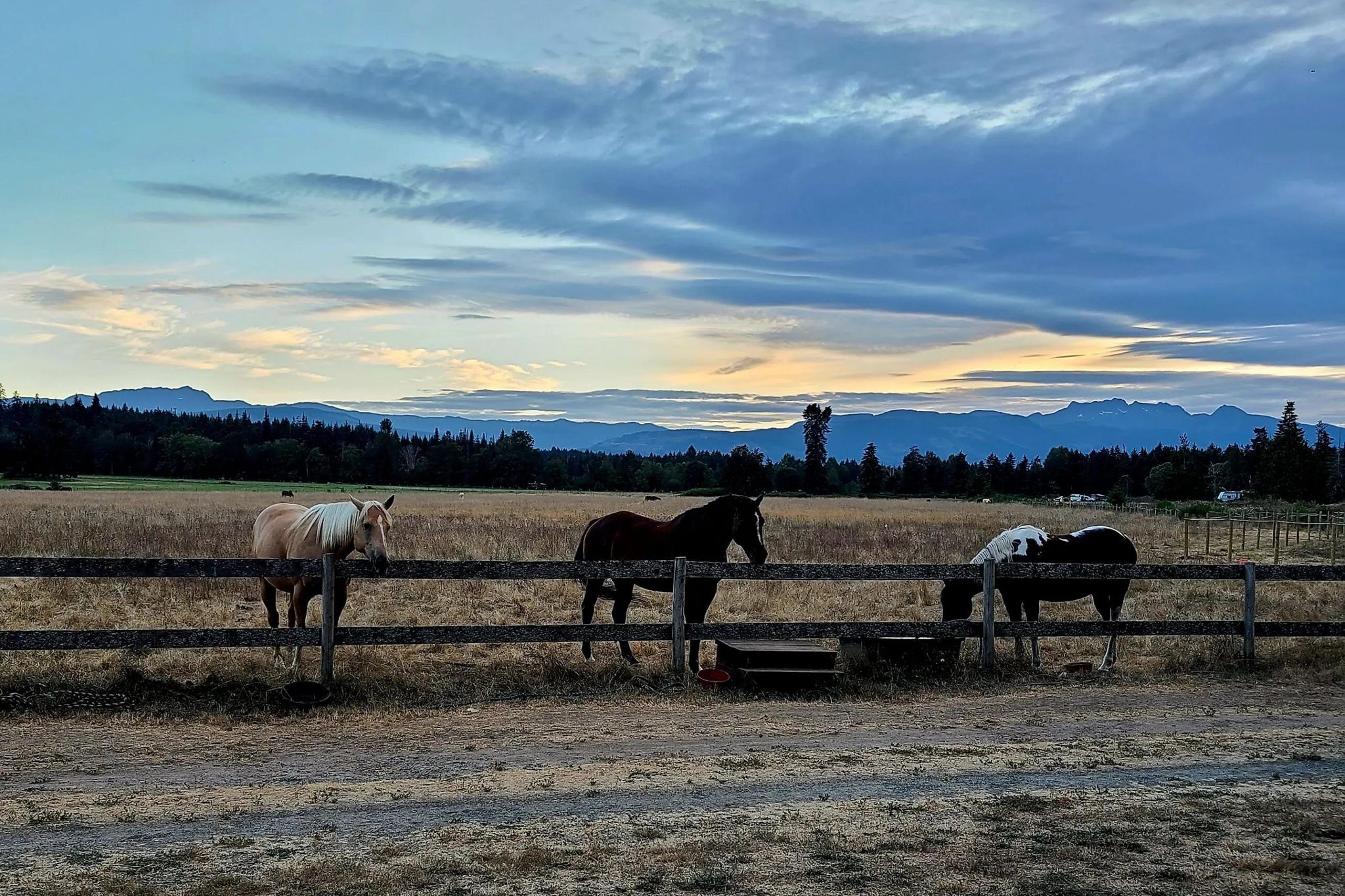 Tent Site on Vancouver Island