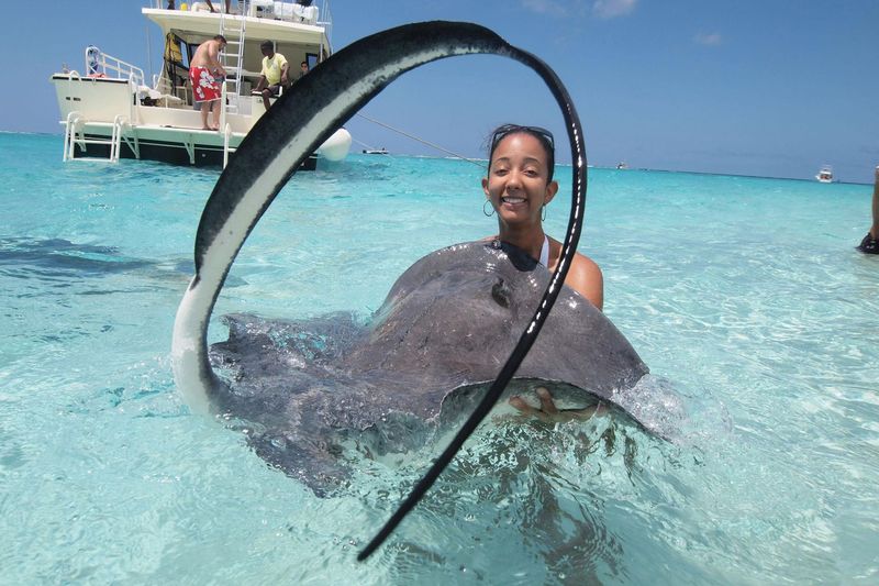 Swim Among Docile Wild Stingrays At Stingray City