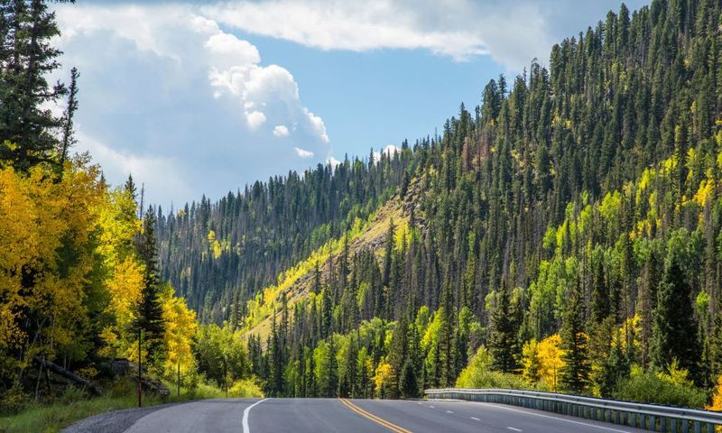 road going through Wolf Creek Pass near Pagosa Springs