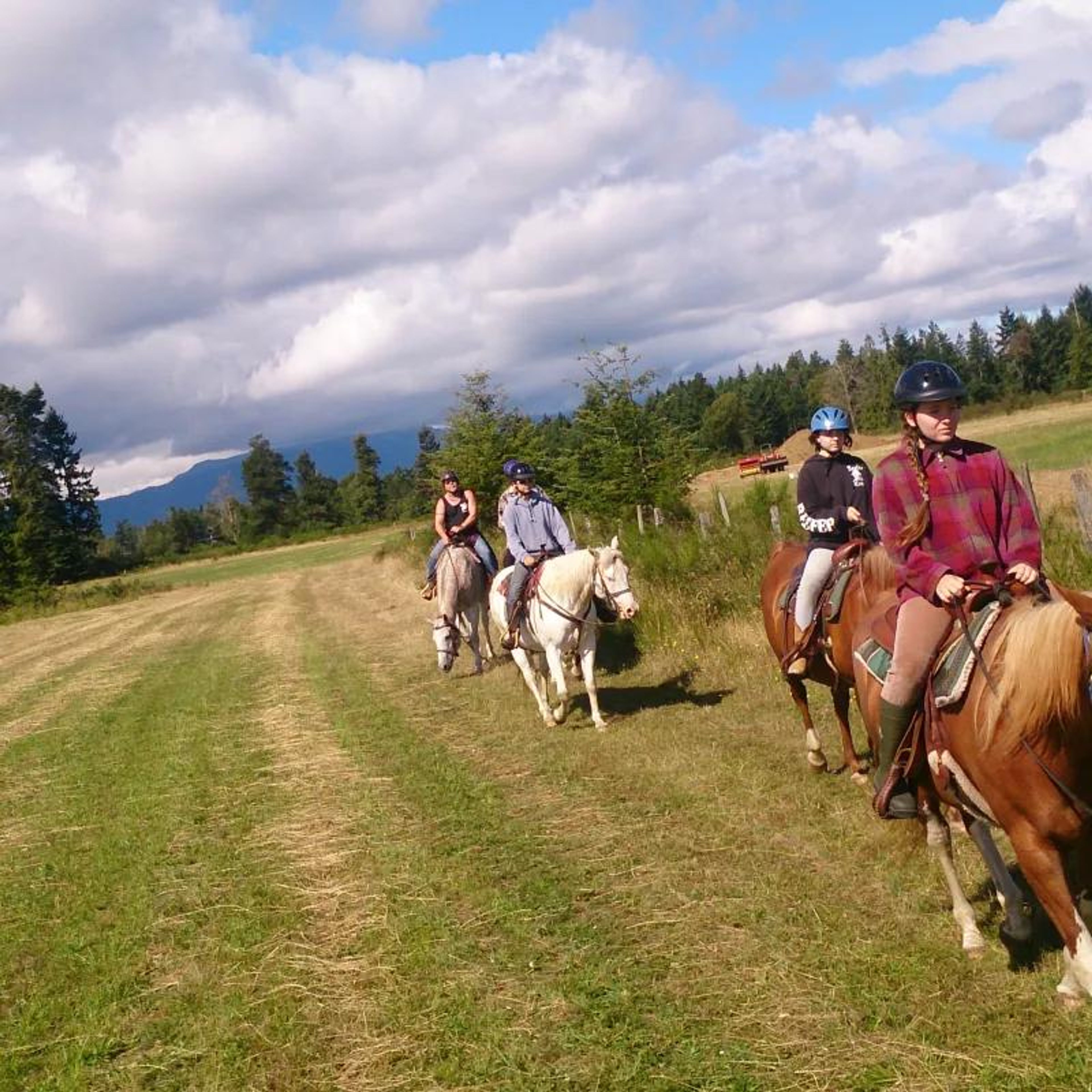 Horse Boarding, Vancouver Island - Image 2