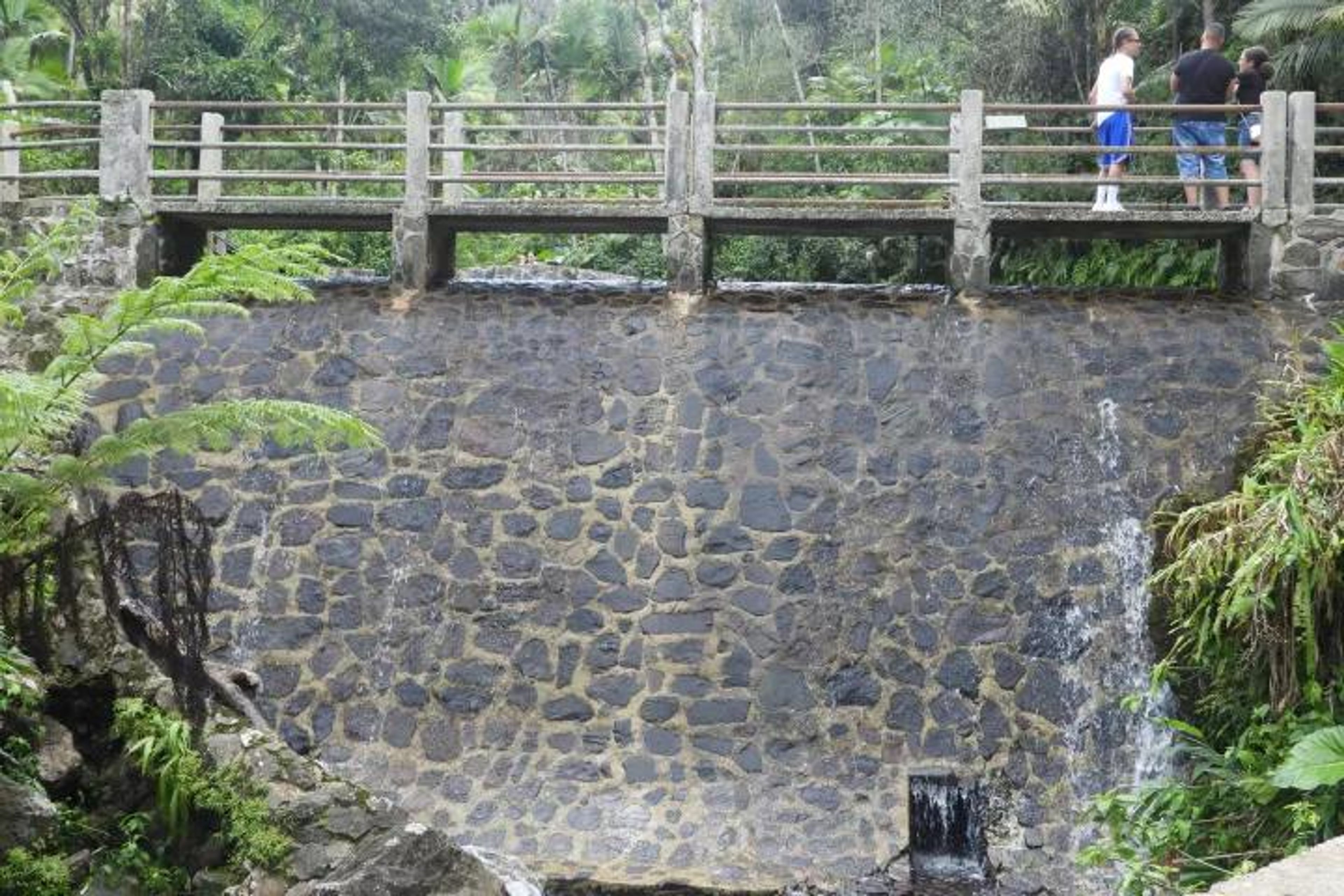 Rainforest River, Luquillo Beach Kiosk Area & Bioluminescent Bay Trio Tour – The Best of Puerto Rico in One Day - Image 3