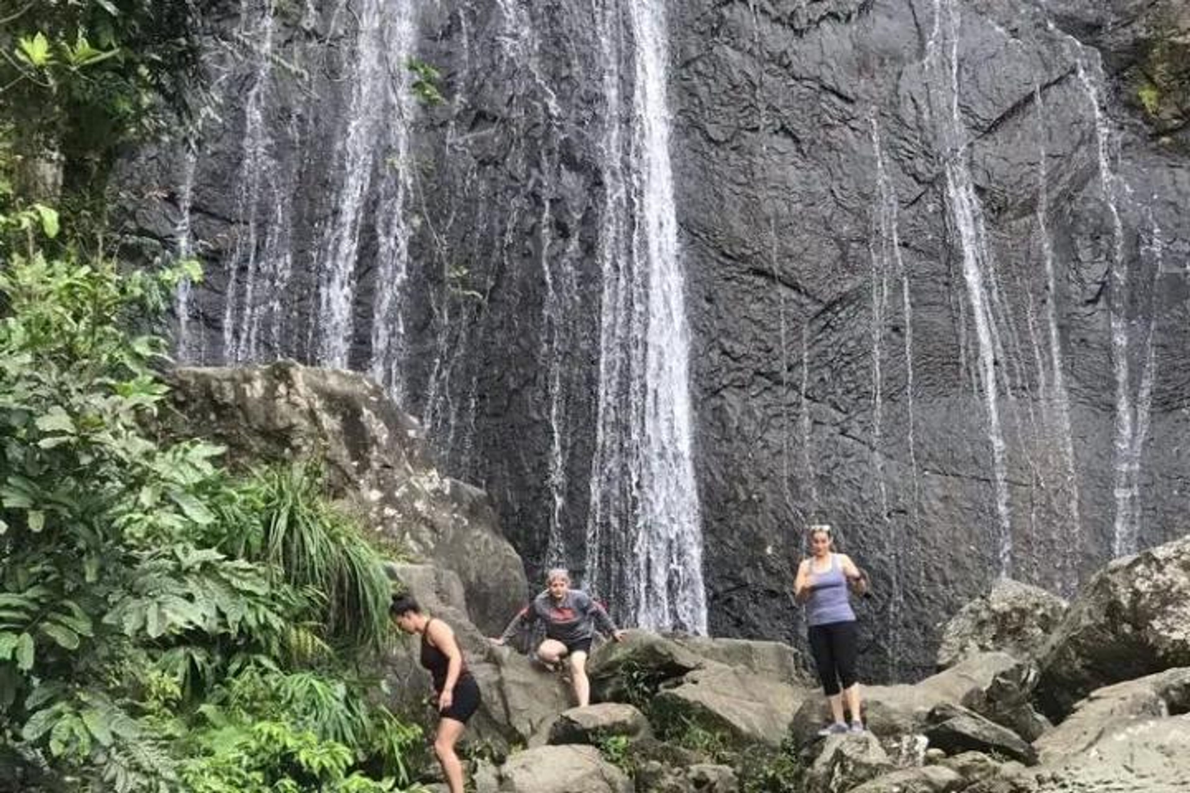 El Yunque Rainforest Tour - Image 3
