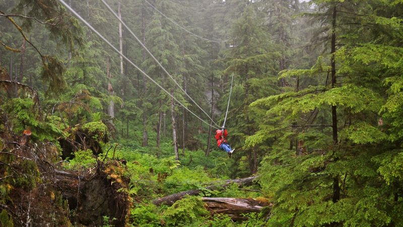 Zipline In Alaska