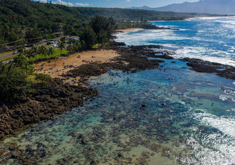 Shark's Cove