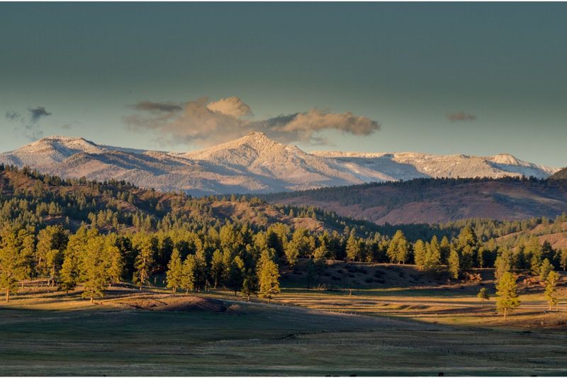 view of the mountains with trees in the foreground near Pagosa Springs