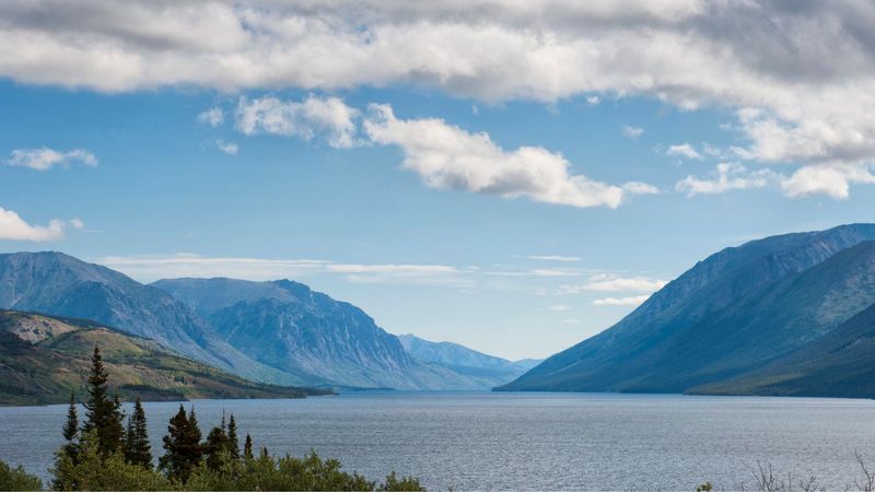 Alaskan Wilderness