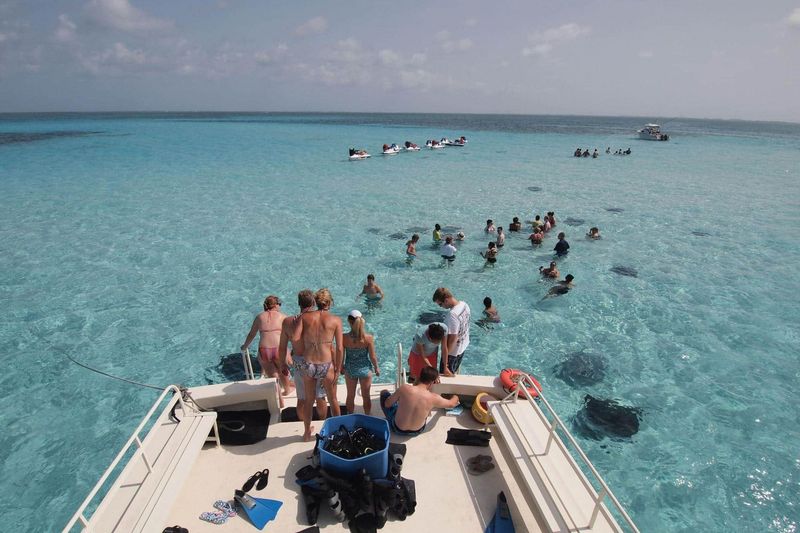 Stingray City Boat Tour
