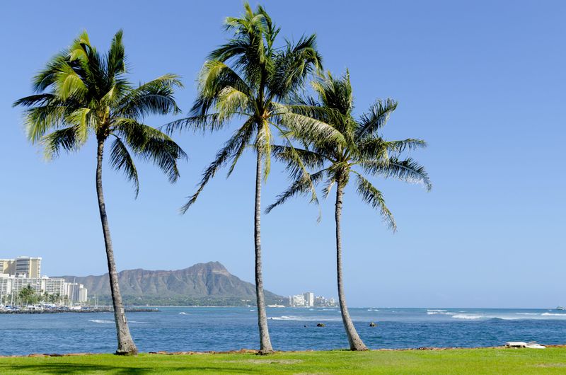 Ala Moana Beach Park - A Stunning Beach On Oahu