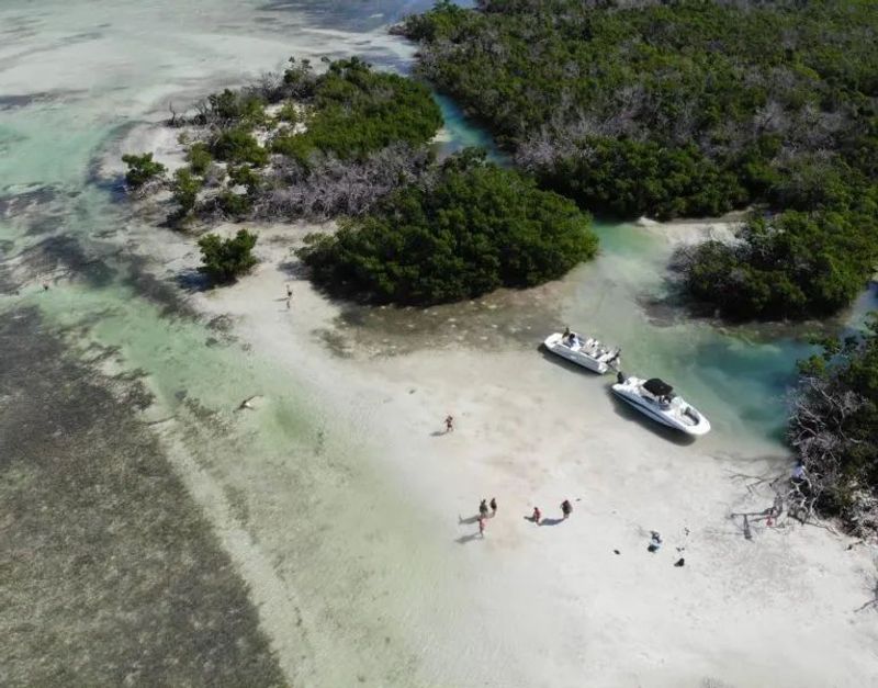 Mud Key Mangrove Safari - key west