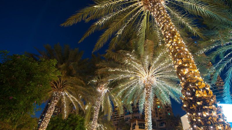 Key West In December - Decorated Palm Trees