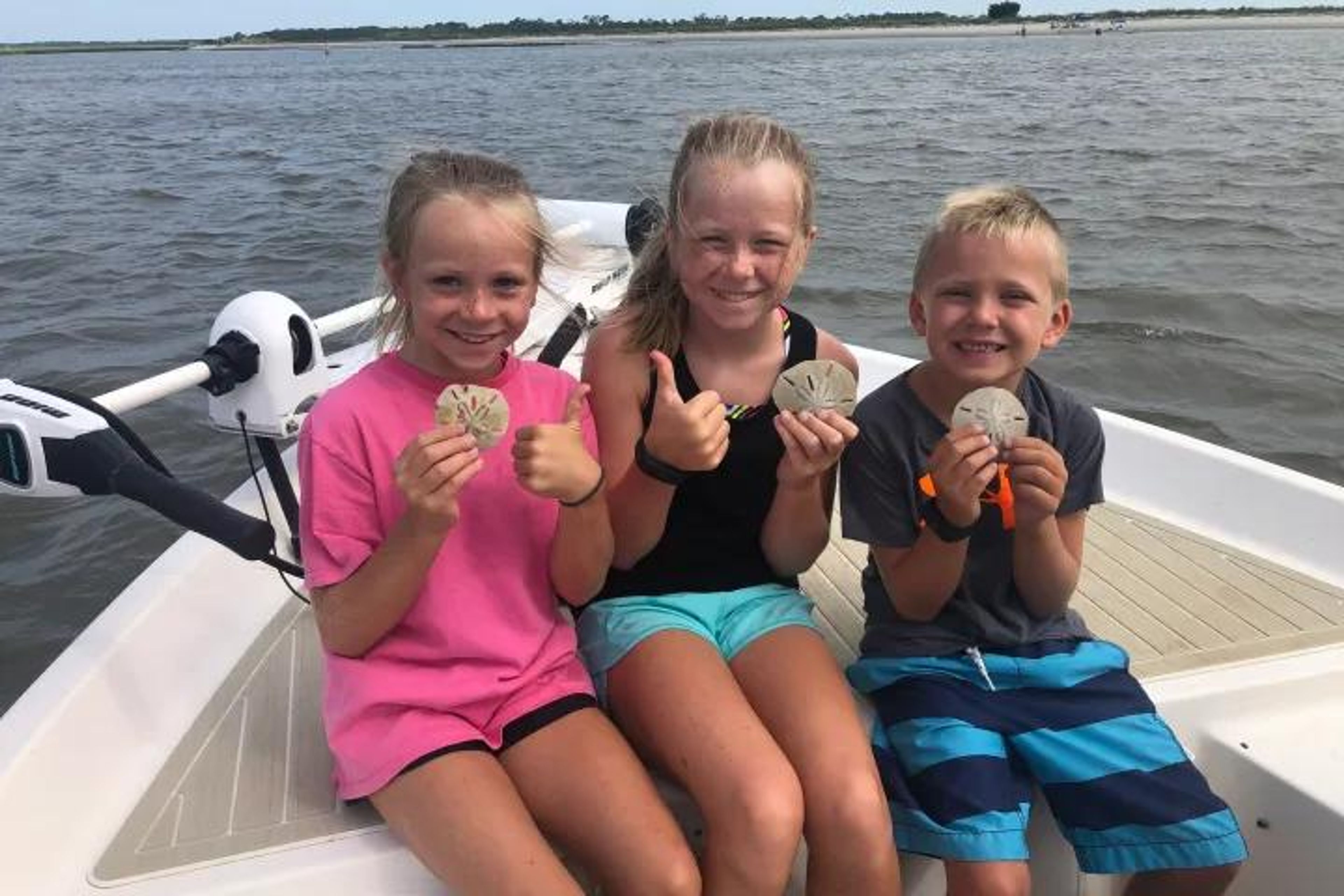 Private Eco & Dolphin Tour in Morris Island - Image 2