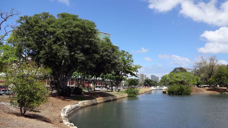 Ala Moana Beach Park