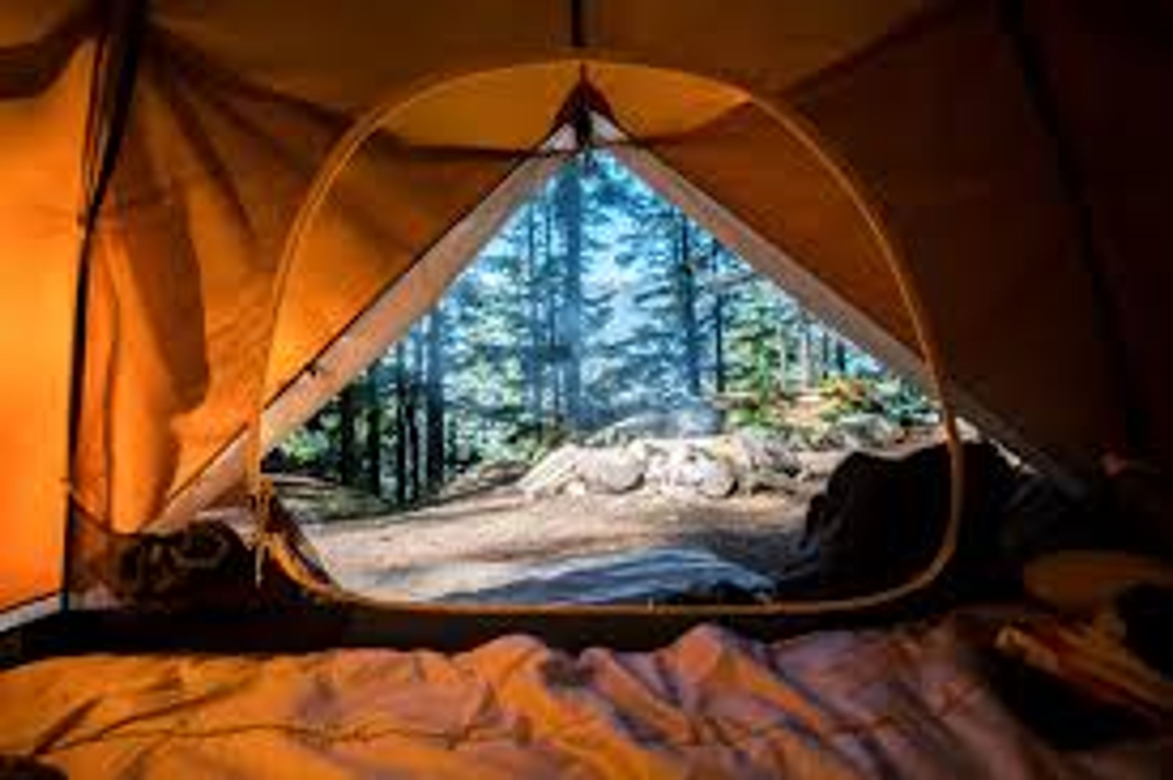Camping in Alaska - Beginner's Guide
