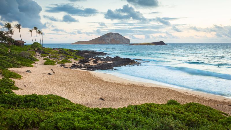 Makapu'u Beach Park