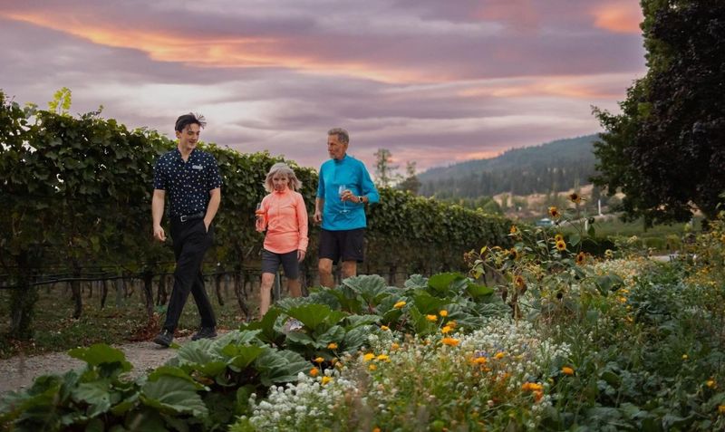 Wine Tour From Sparkling Hill Resort 