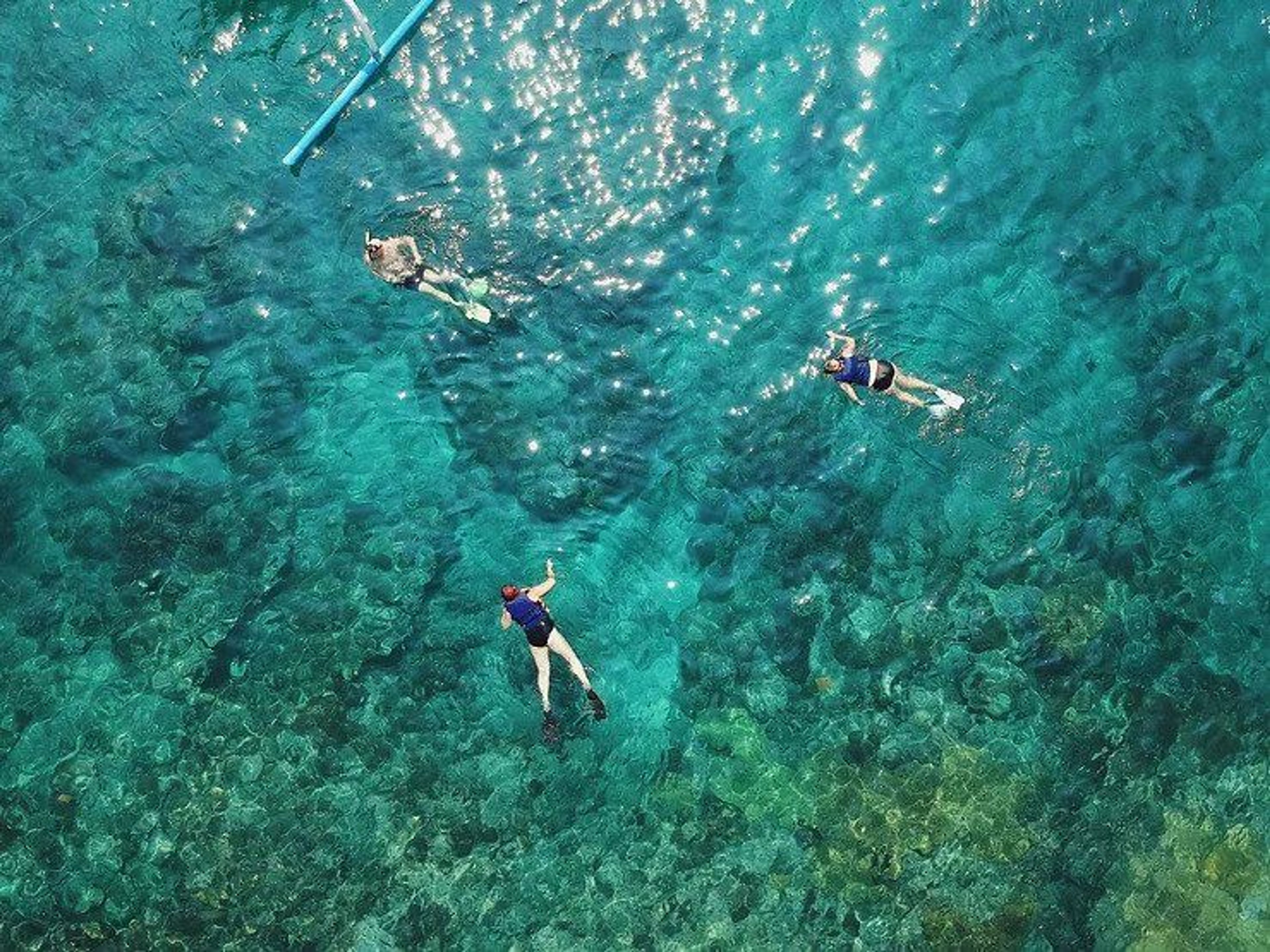 Snorkeling around the Island