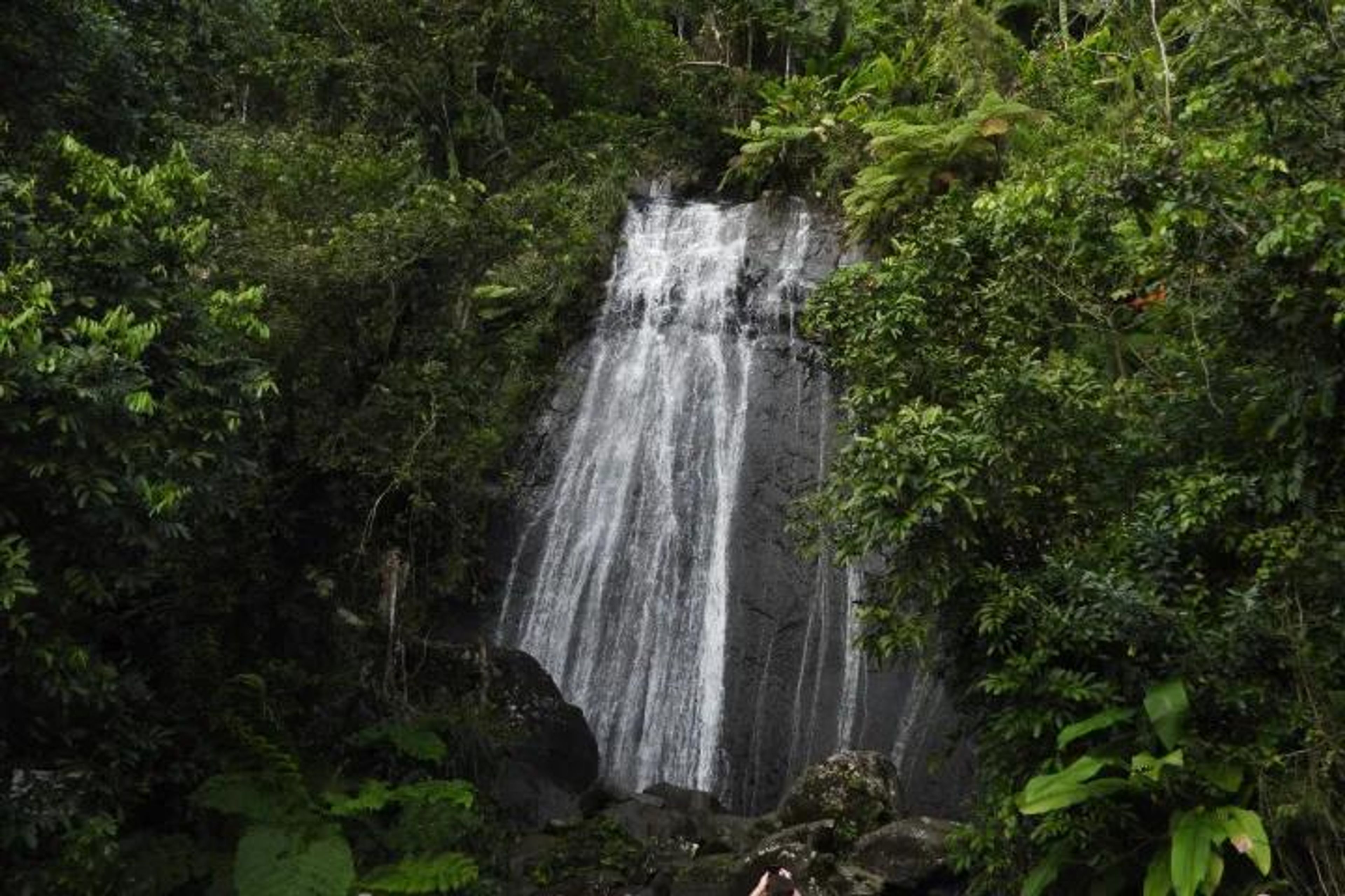 El Yunque National Forest  and Luquillo Beach Combo - Image 2