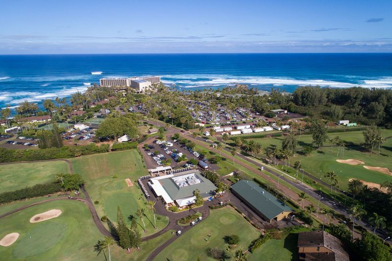 Turtle Bay