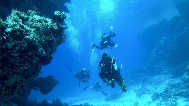 Snorkeling In Oahu