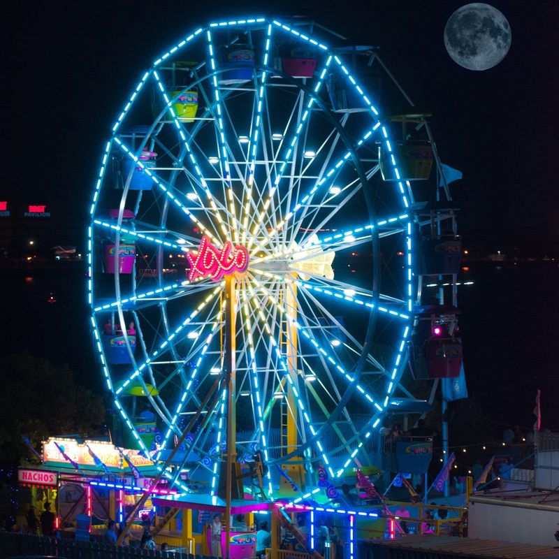 Ferris Wheel At Blue Cross RiverRink -  Historic District 