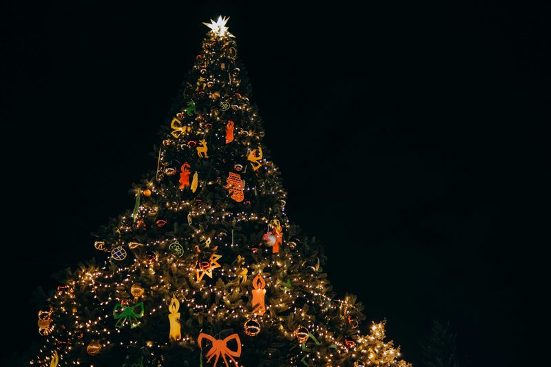 Christmas Tree Lightning at Key West Historic Seaport