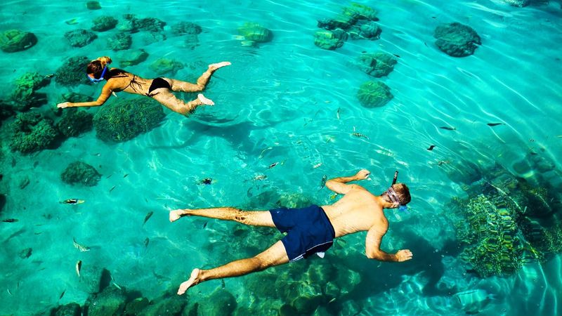 Couple Snorkeling Over Coral Reefs Near Dry Tortugas National Park