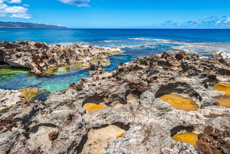  Pupukea Shark's Cove
