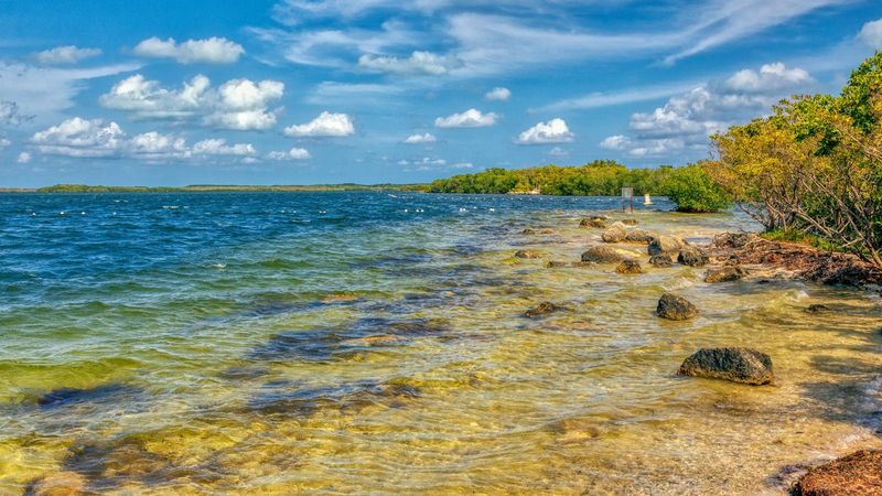 Experience Nature At Key Largo