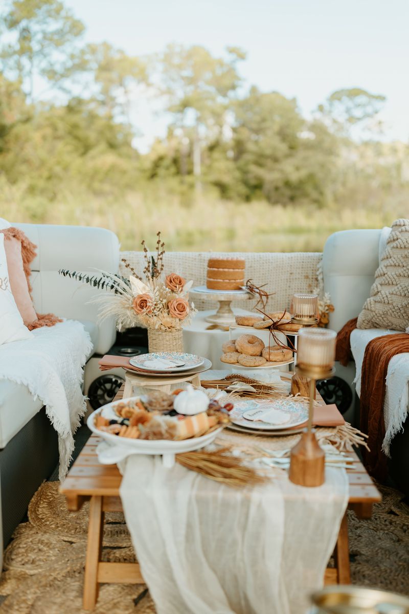 Pontoon boat picnic