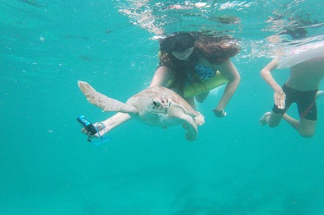 Enjoy a 45 min boat ride with snorkelling