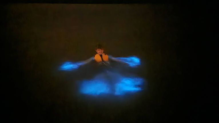 Making a bioluminescence angle.