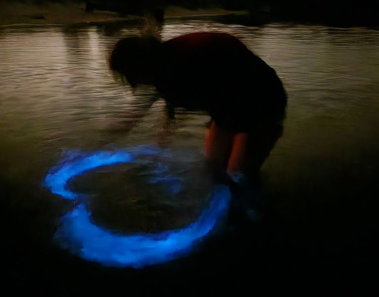 Drawing a heart into the bioluminescence.