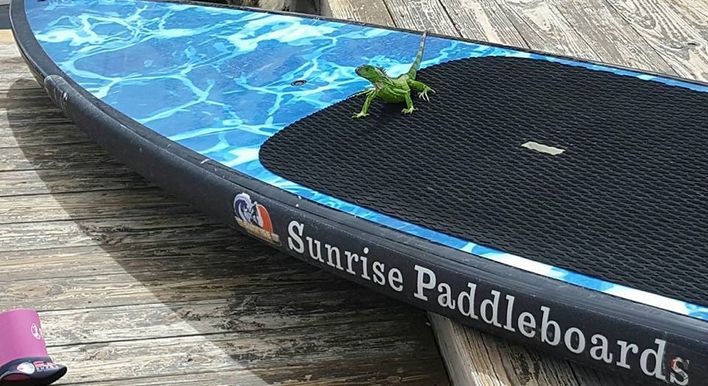 Paddleboarding Fort Lauderdale - Sunrise Paddleboards