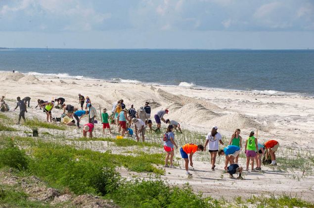 Saturday - Sea Oats Planting