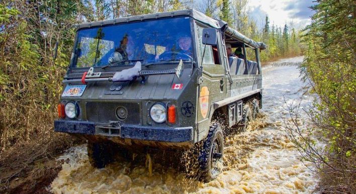 private tours denali national park