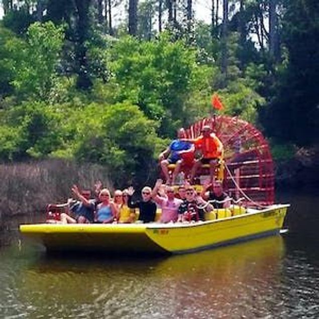 Airboat Ecotour and Alligator Experience