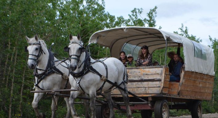 private tours denali national park