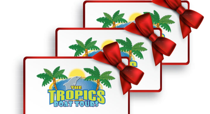 tampa florida boat tours