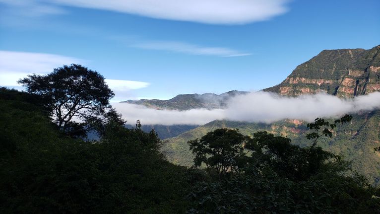 Calilegua morning cloud pano