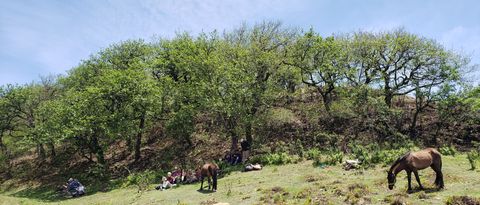 picnic spot