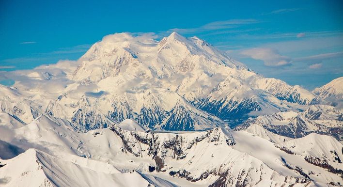 private tours denali national park